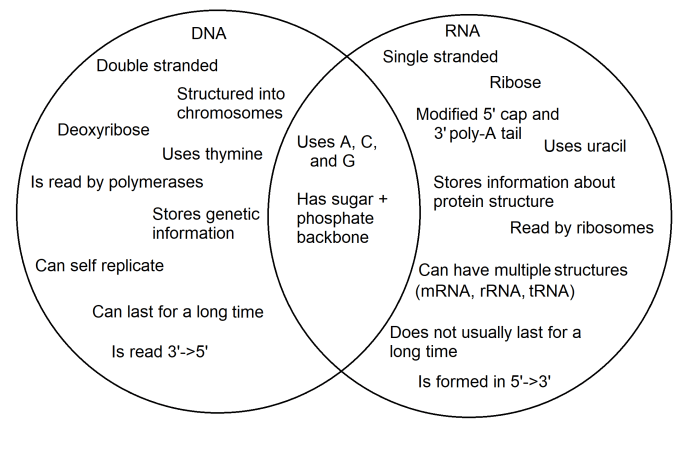 Rna venn