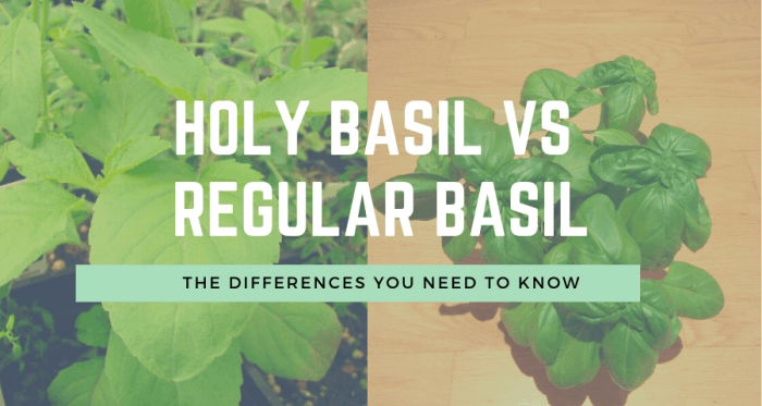 What does it all mean basil gif