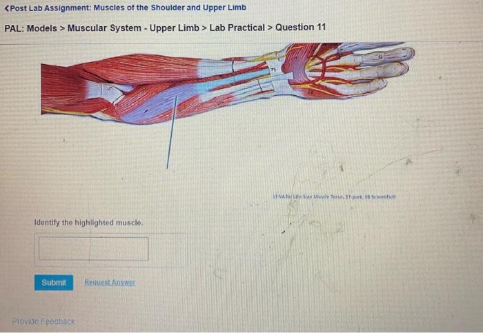 Solved highlighted