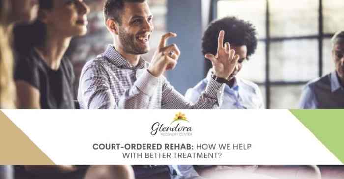 Ordered rehab court does work blogs