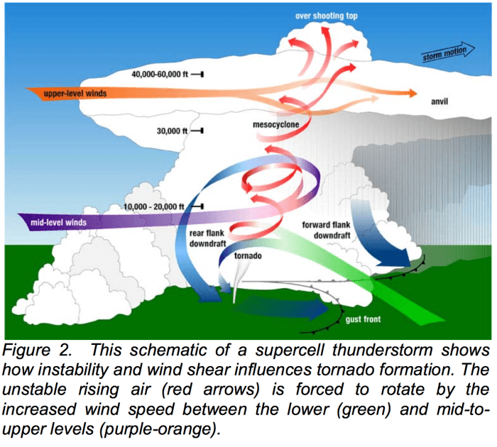 Hurricanes impact ecosystems