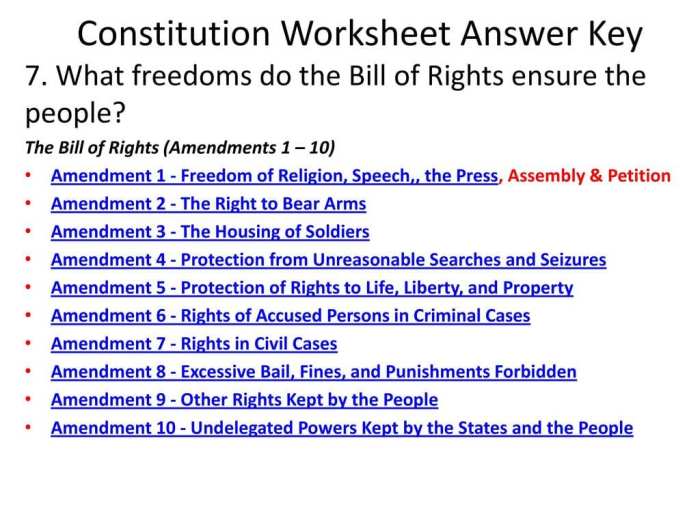 Constitution anatomy contents table