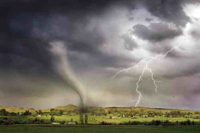 Tornadoes can negatively affect an ecosystem when